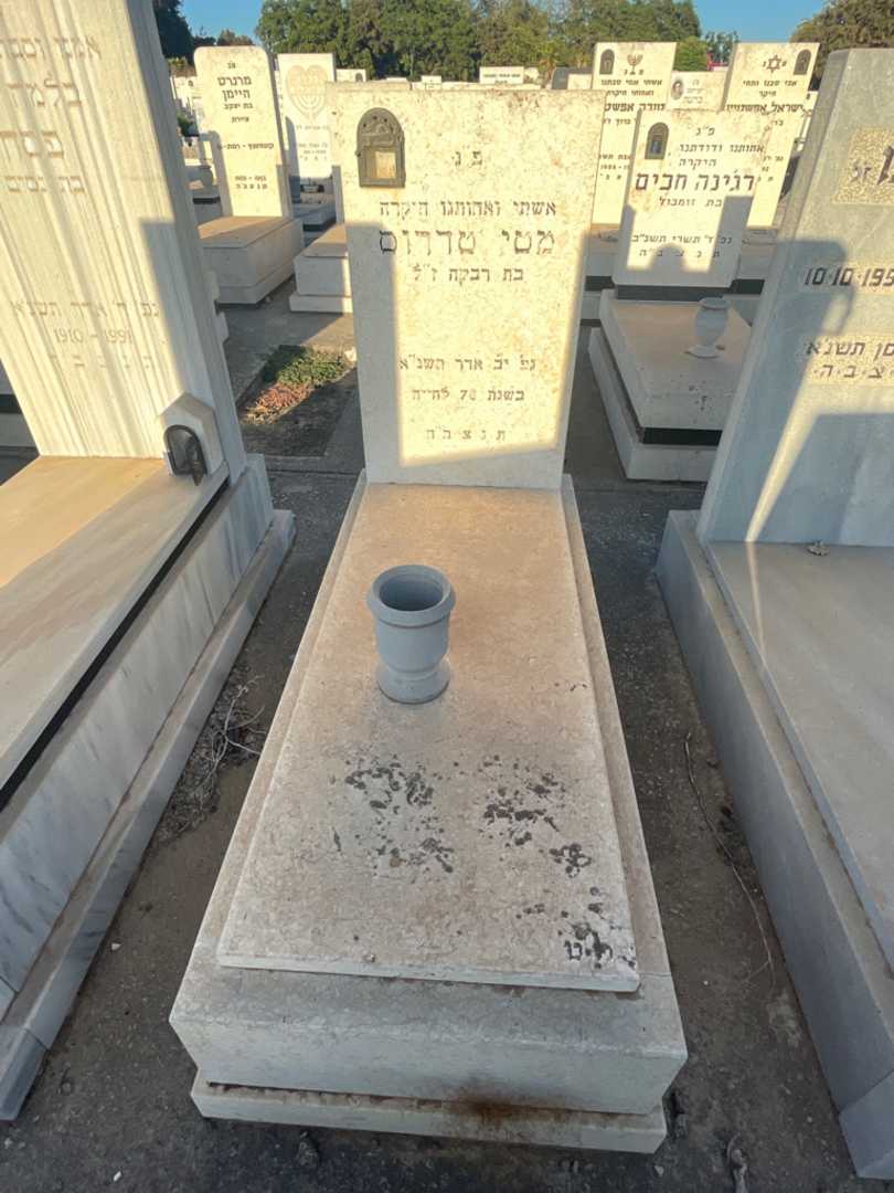 קברו של מטי טדרוס
