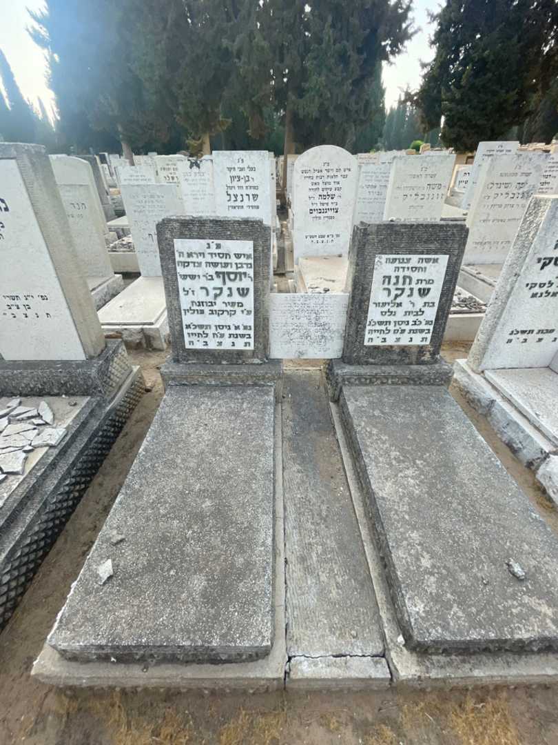 קברו של יוסף שנקר. תמונה 1