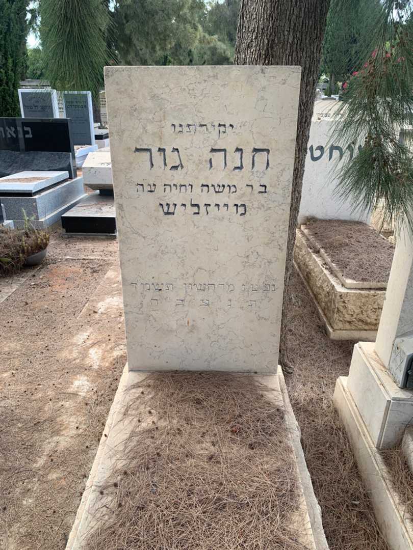 קברו של חנה גור