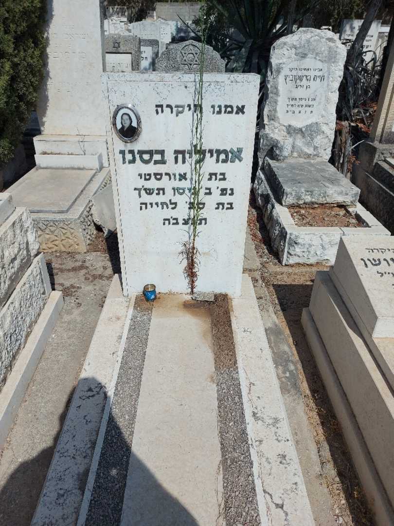 קברו של אמיליה בסנו