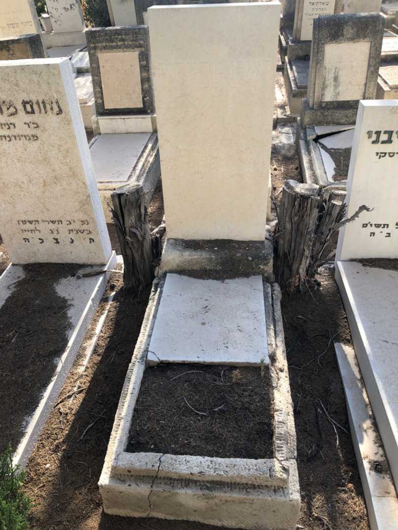 קברו של ראובן מרגוליס