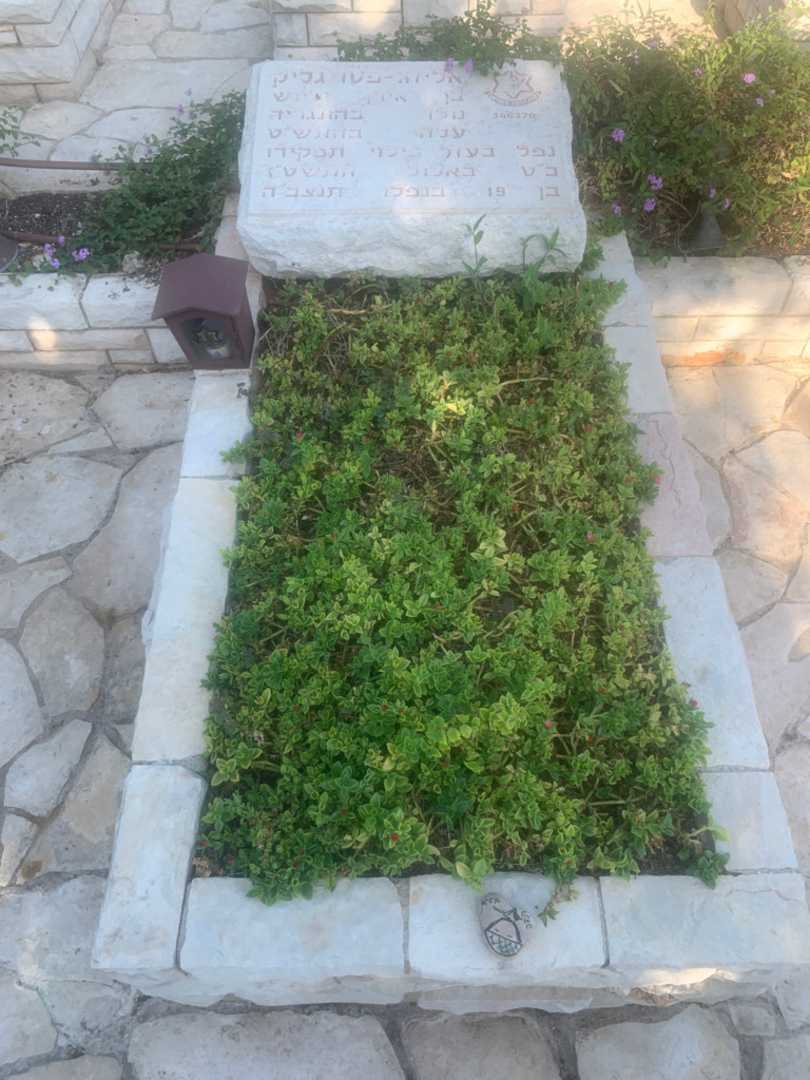 קברו של אליהו-פטו גליק