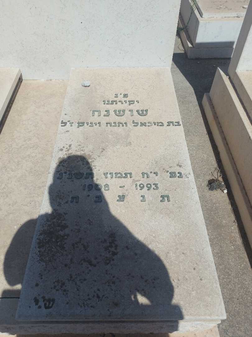 קברו של שושנה ינוביץ. תמונה 1