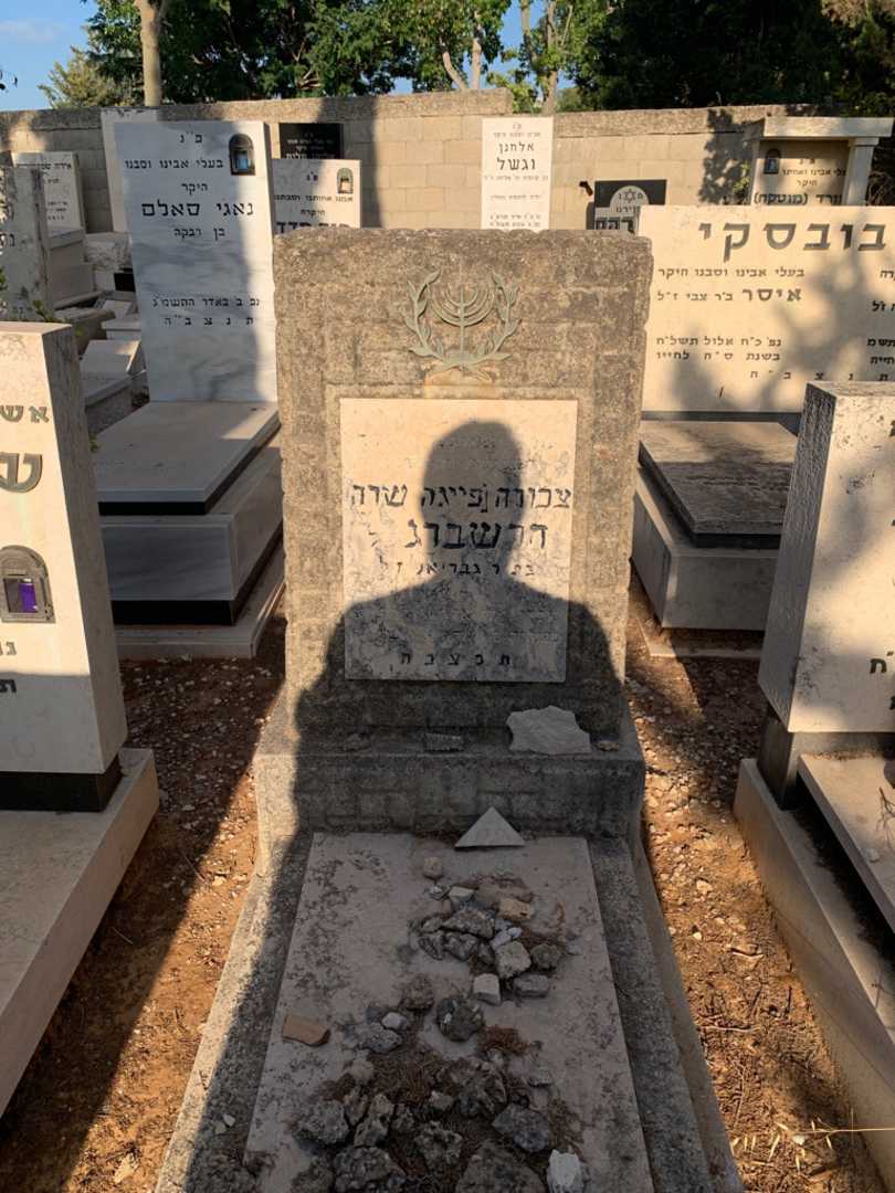 קברו של תפורה פייגה שרה חרשברג