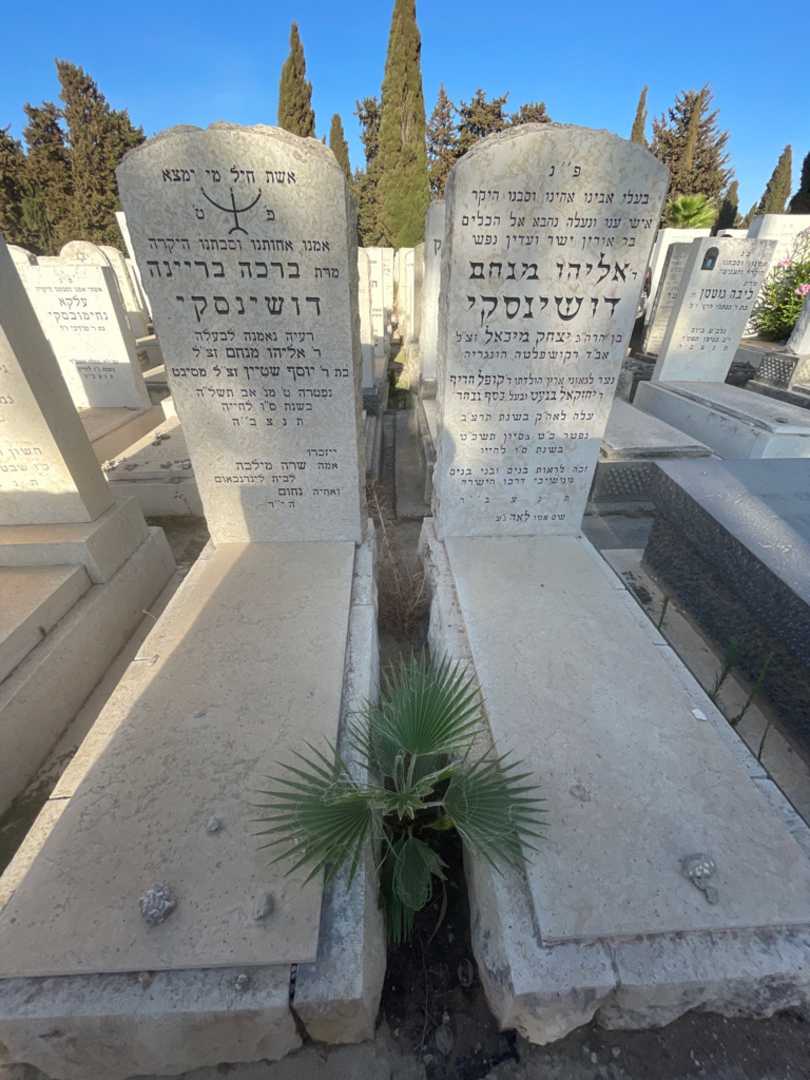 קברו של אליהו מנחם דושינסקי. תמונה 1