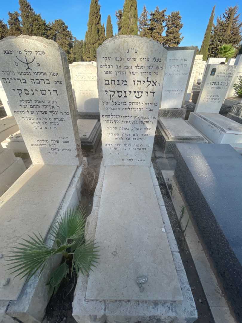 קברו של אליהו מנחם דושינסקי. תמונה 2