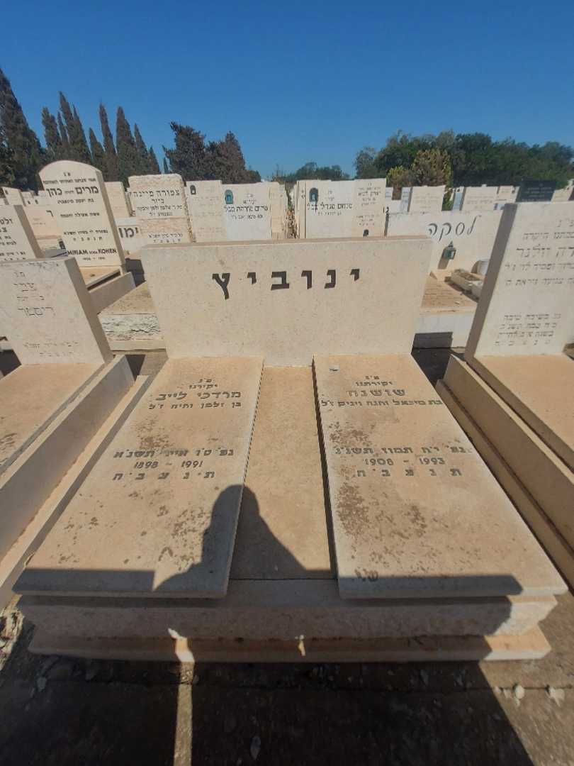 קברו של שושנה ינוביץ. תמונה 2