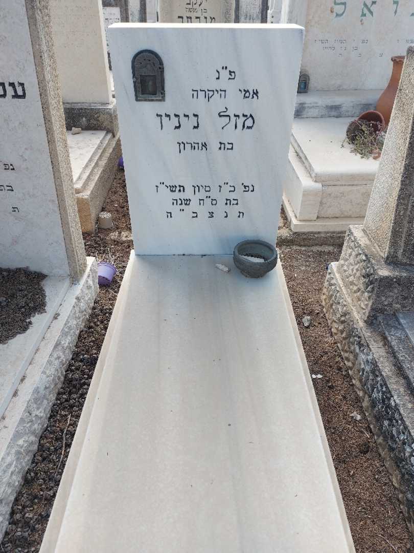 קברו של מזל ניניו