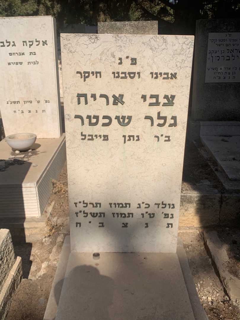 קברו של צבי אריה גלר שכטר