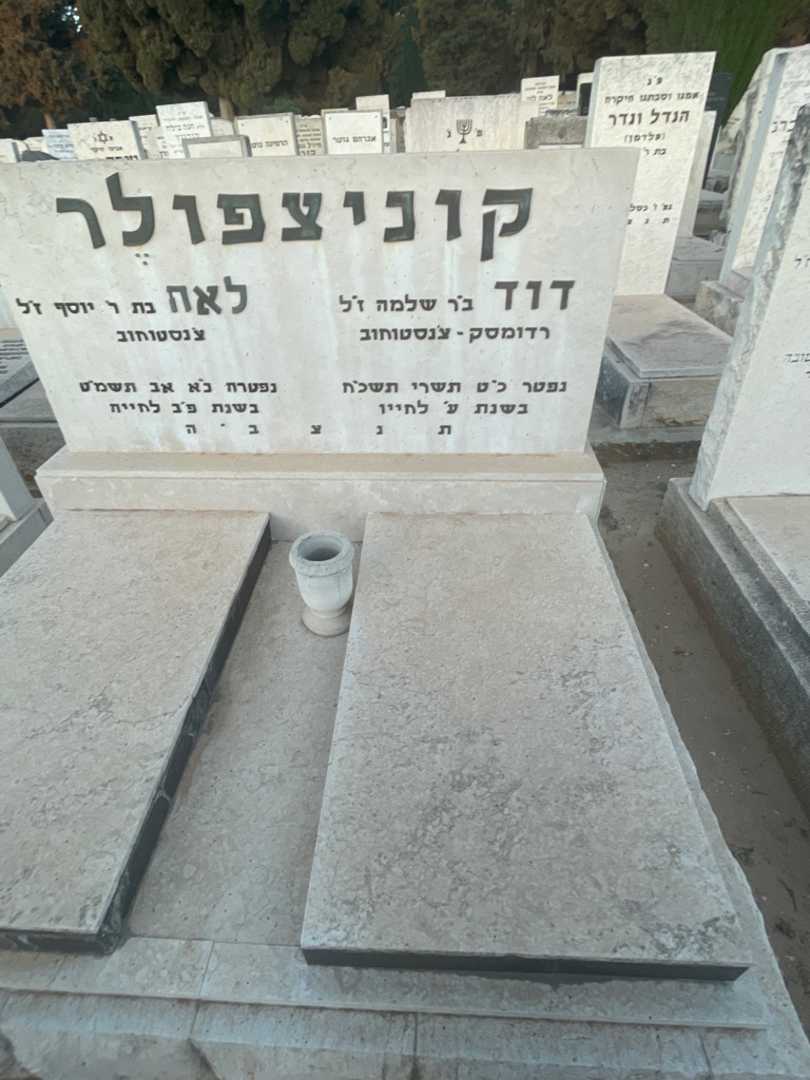 קברו של דוד קוניצפולר. תמונה 2