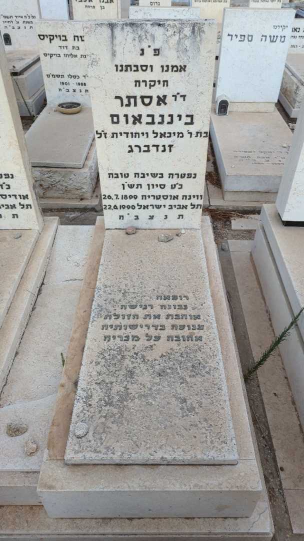 קברו של אסתר "זנדברג" ביננבאום. תמונה 1