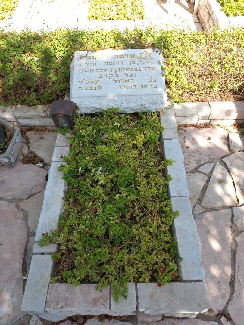 קברו של שלמה לינקנברג