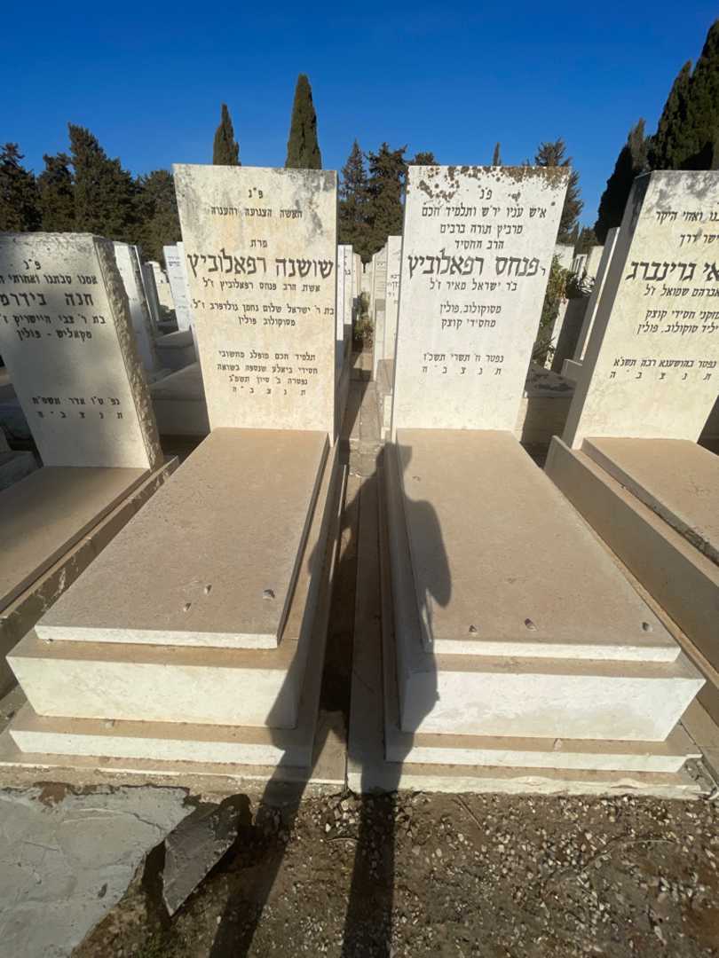 קברו של שושנה רפאלוביץ. תמונה 1