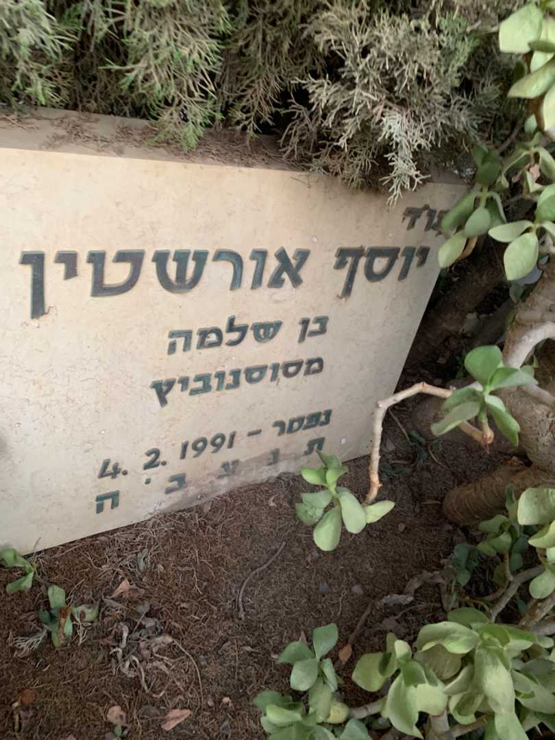 קברו של יוסף אורשטין. תמונה 2