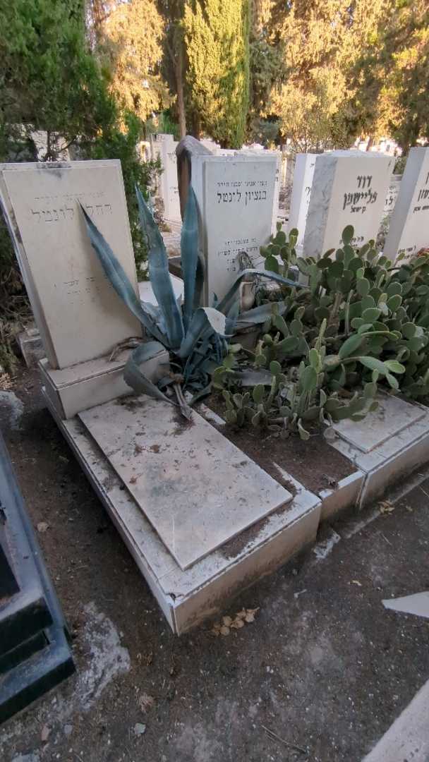 קברו של בנציון לונטל. תמונה 1