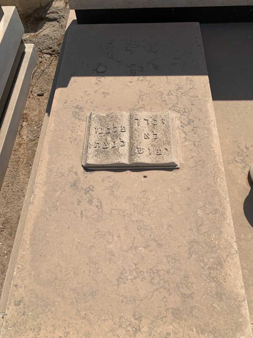 קברו של רגינה ששון. תמונה 3