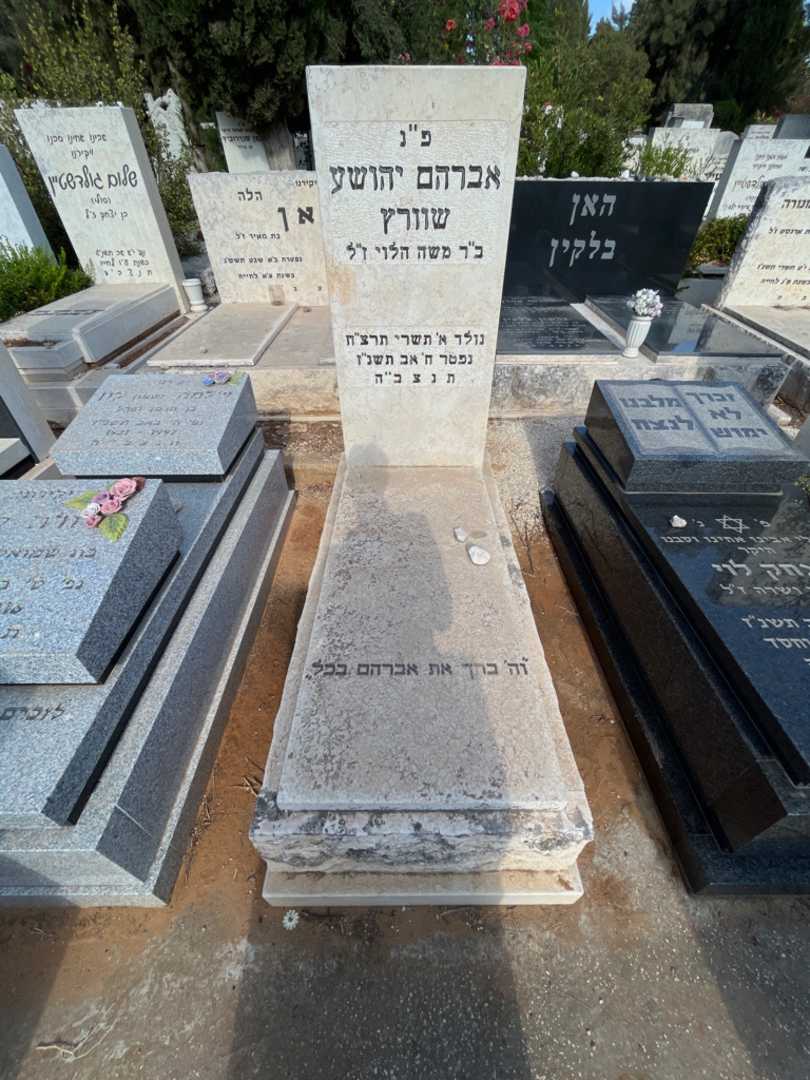 קברו של אברהם יהושע שוורץ