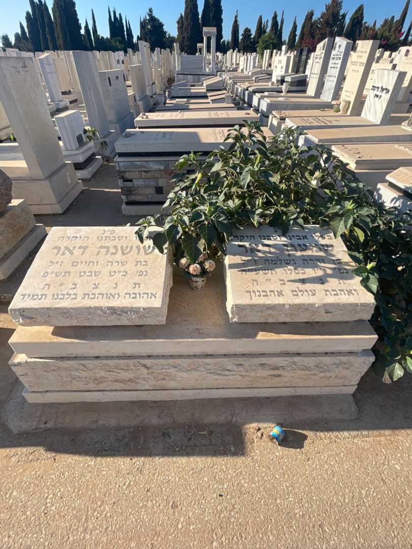 קברו של שמעון דאר