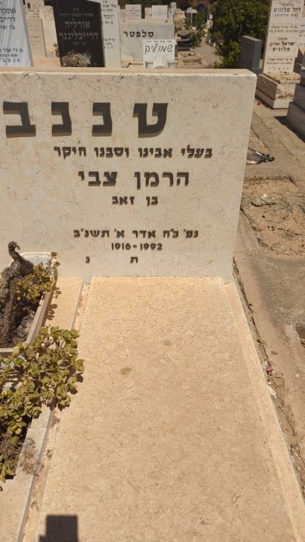 קברו של הרמן צבי טננבאום. תמונה 1