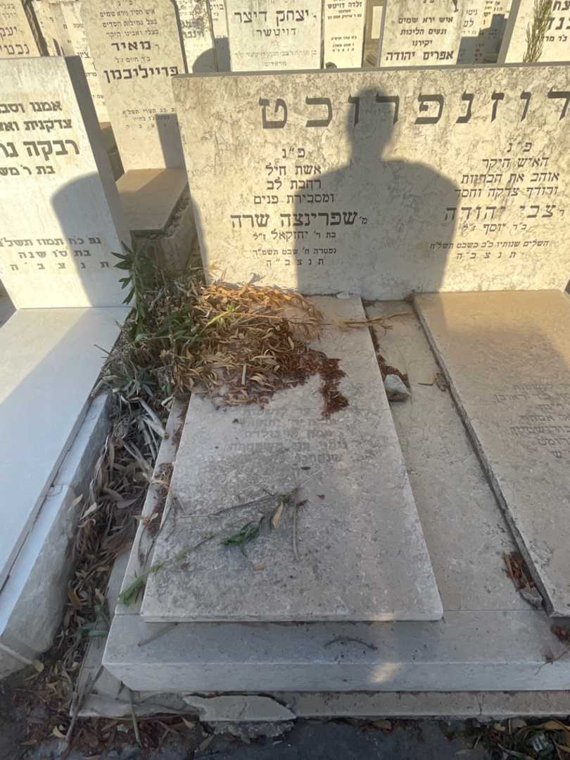קברו של שפרינצה שרה רוזנפרוכט. תמונה 2