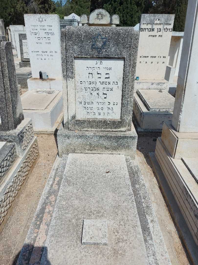 קברו של בלה לוי