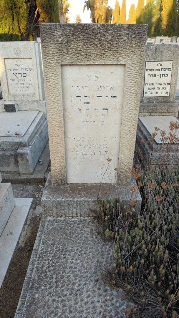 קברו של דוד כהן בוגן
