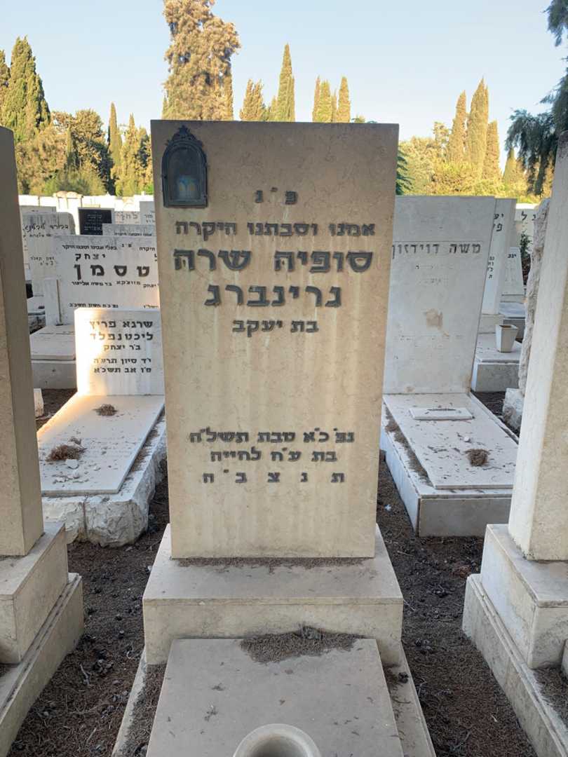 קברו של סופיה שרה גרינברג. תמונה 1