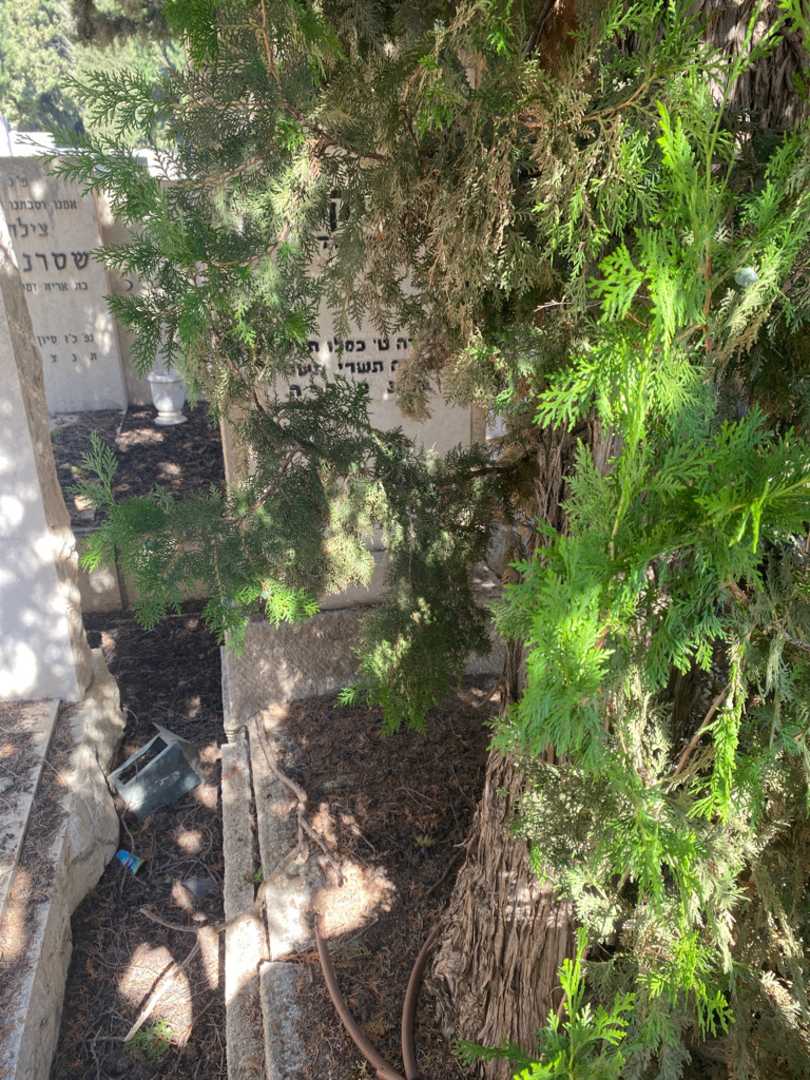 קברו של חנה יעקובסון. תמונה 1
