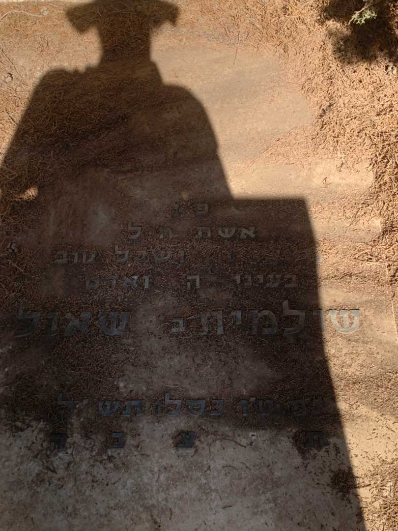 קברו של שולמית לרנינס. תמונה 1