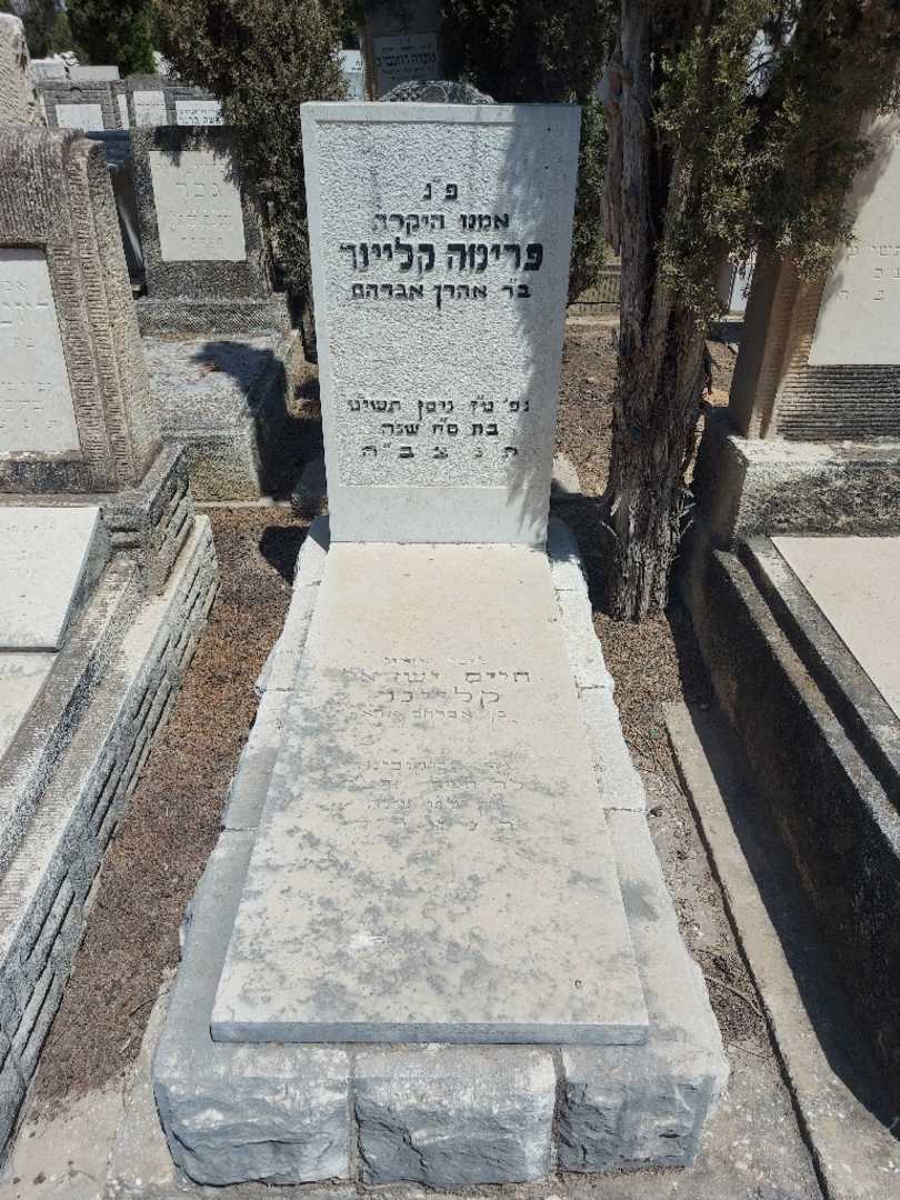 קברו של פרימה קליינר
