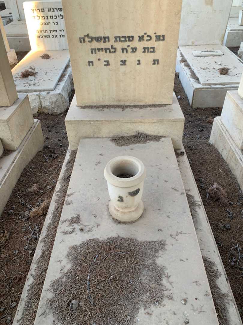 קברו של סופיה שרה גרינברג. תמונה 2