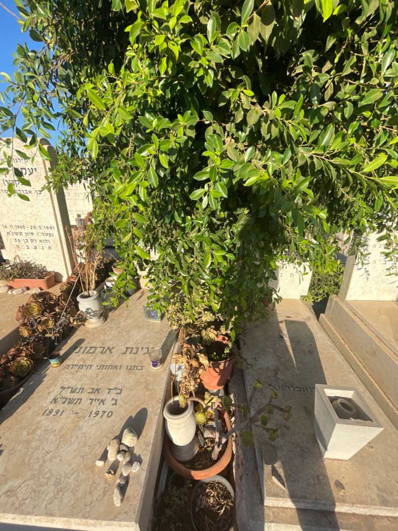 קברו של אסתר רוזנפלד. תמונה 1