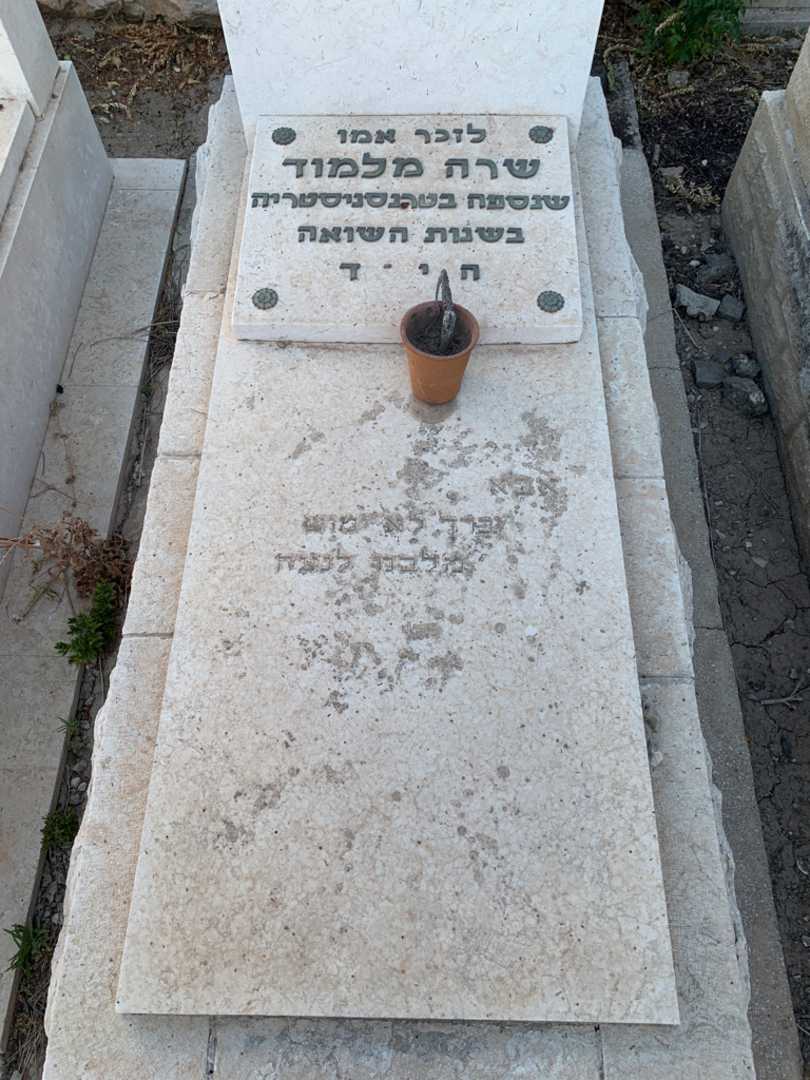 קברו של אהרן מלמוד. תמונה 2