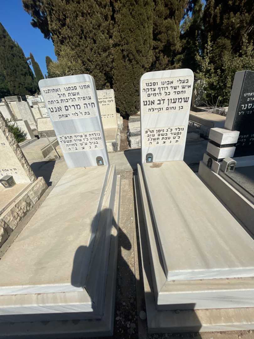 קברו של שמעון דב אנט. תמונה 1