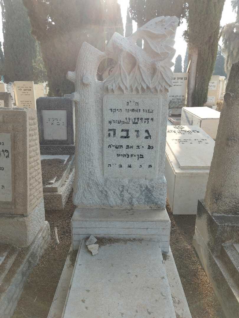 קברו של יהושע גובה