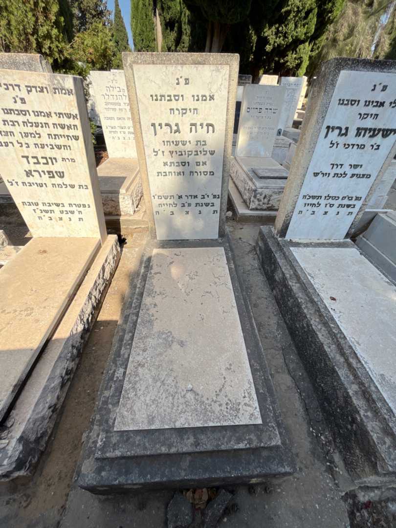 קברו של חיה גרין שליבקוביץ. תמונה 1