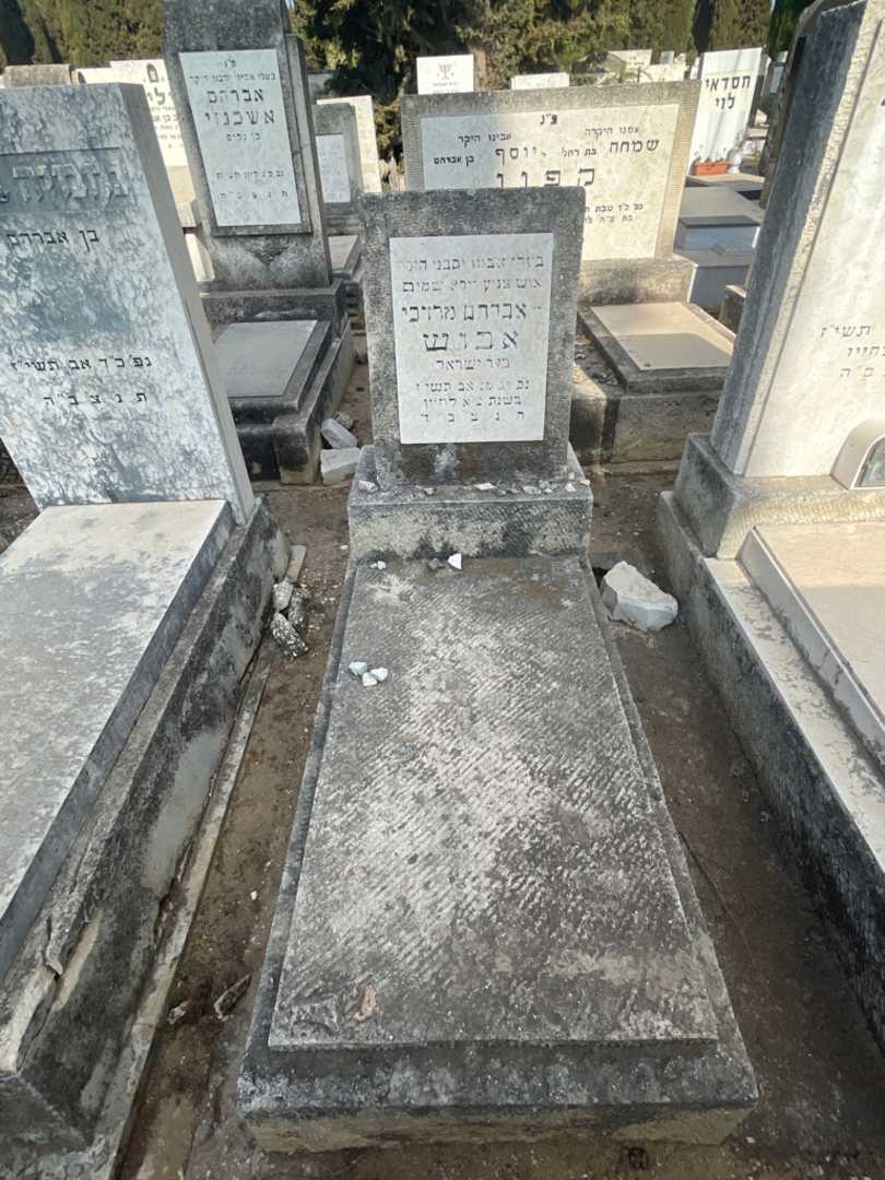 קברו של אברהם מרדכי אבוש