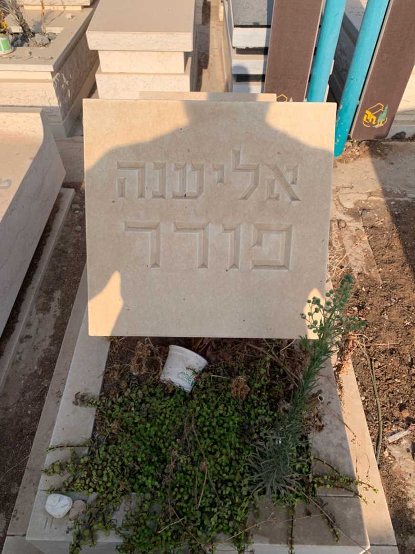 קברו של אליענה פורר