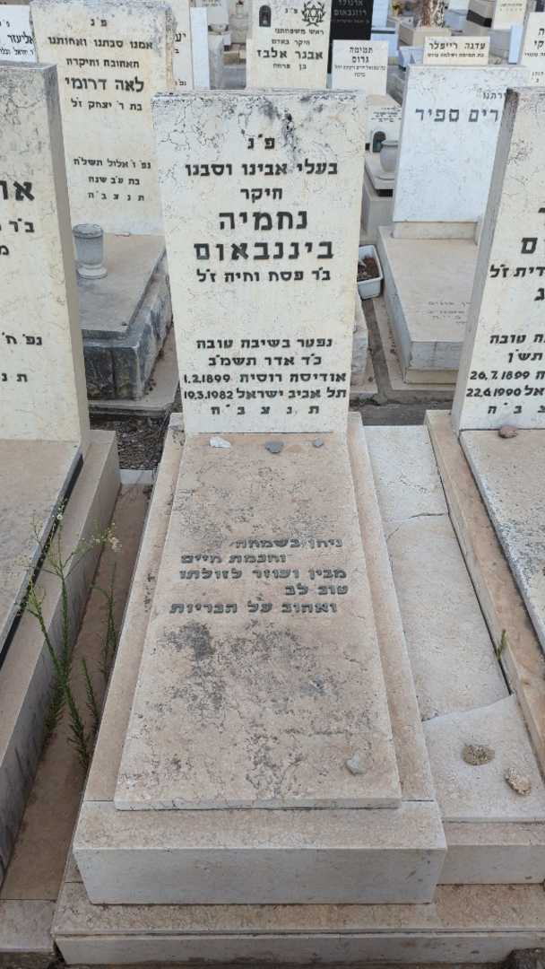 קברו של נחמיה ביננבאום. תמונה 1