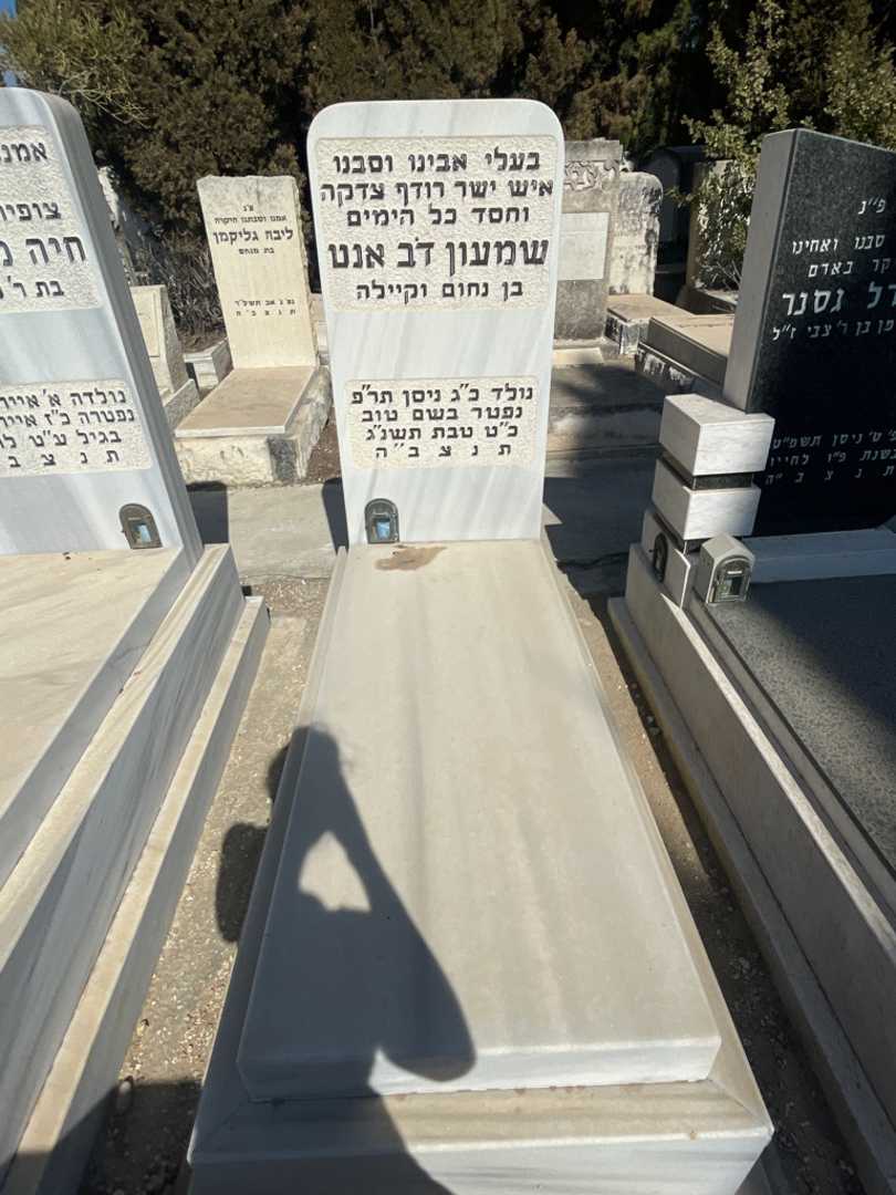 קברו של שמעון דב אנט. תמונה 2