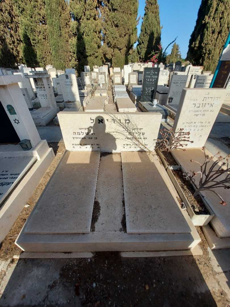קברו של עליזה מוריאל. תמונה 1
