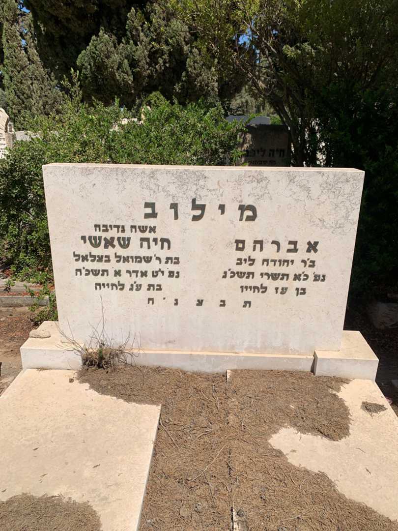 קברו של אברהם מילוב. תמונה 1