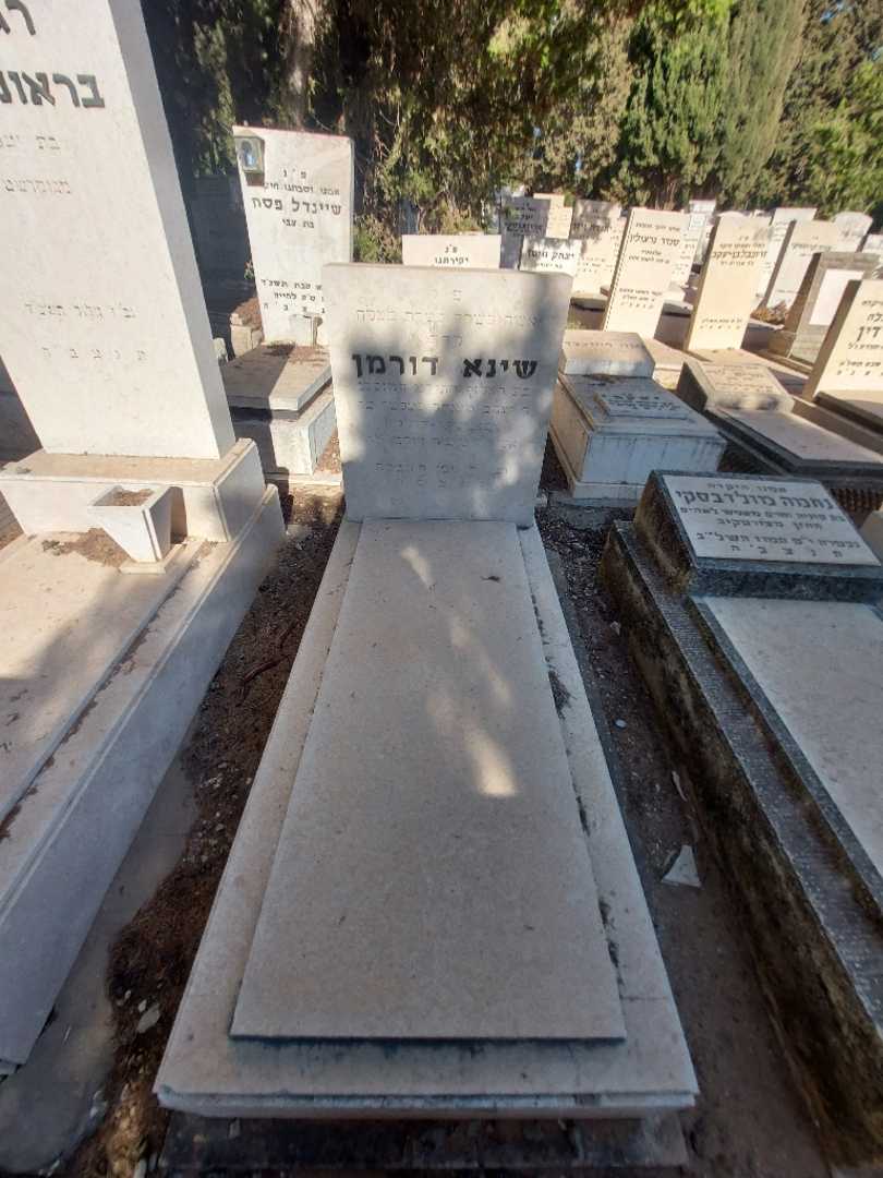 קברו של שינא דורמן
