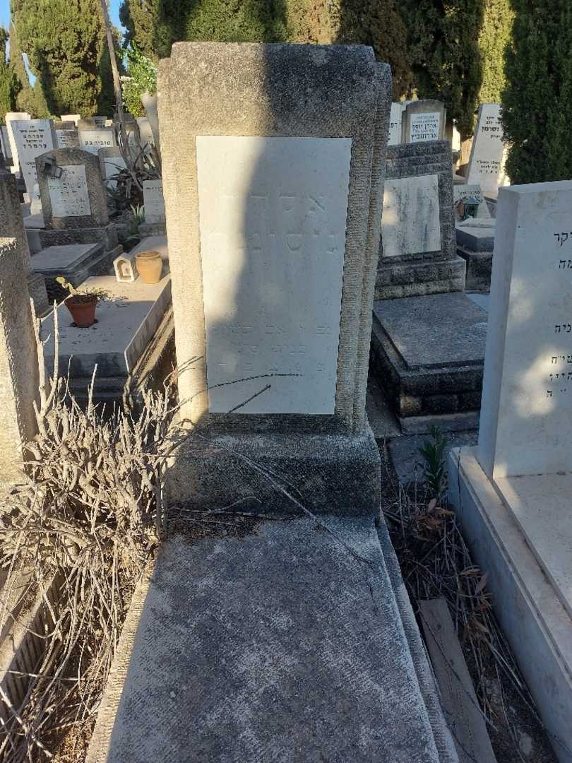 קברו של אלדר גיסינגר