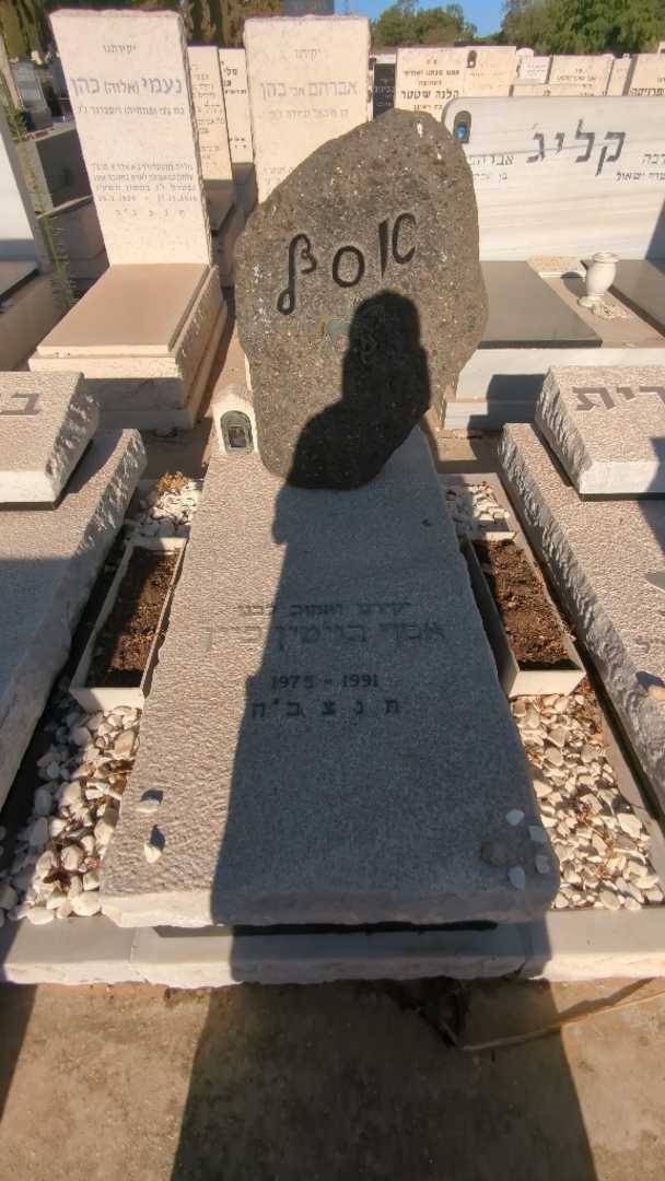 קברו של אסף בנימין פיין. תמונה 2