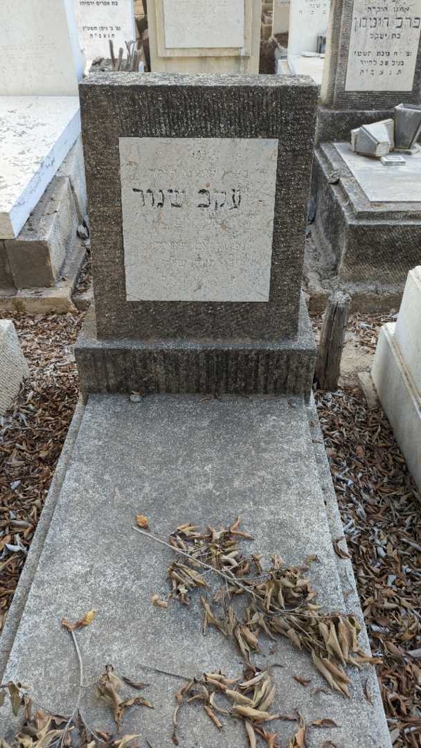 קברו של יעקב שנור