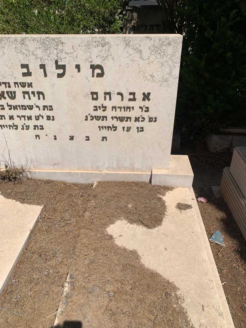 קברו של אברהם מילוב. תמונה 2