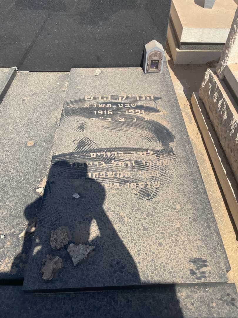 קברו של רחל גרייפנר. תמונה 2