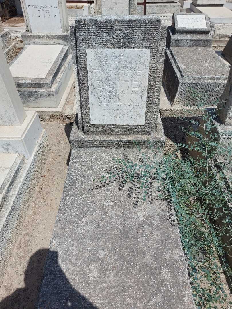 קברו של פייגה לאה ברוקס