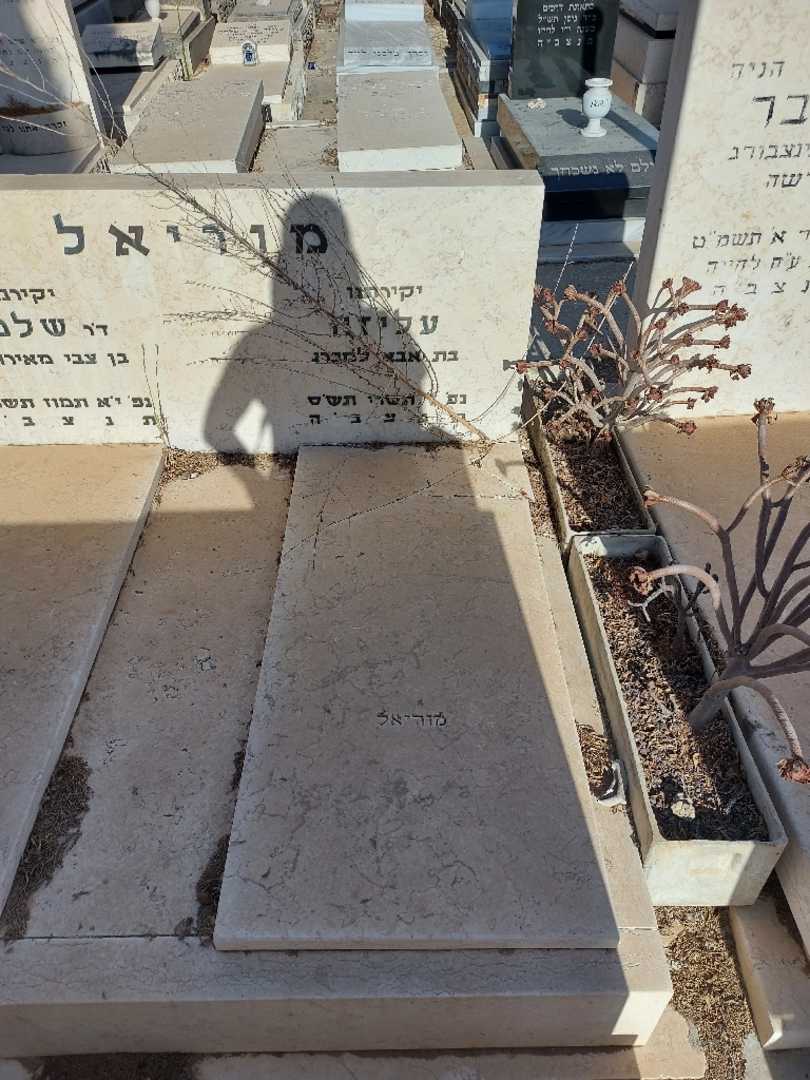 קברו של עליזה מוריאל. תמונה 2